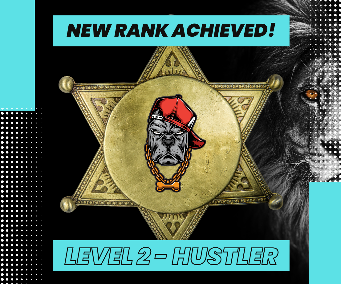 Level 2 - Hustler