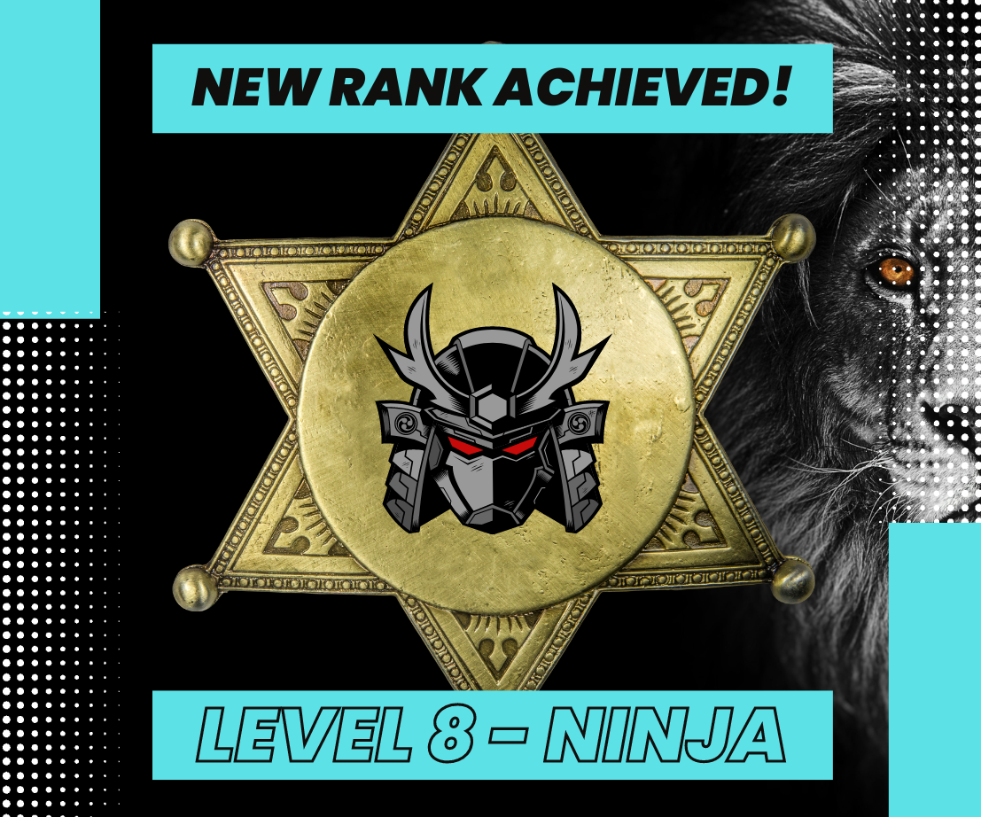 Level 8 - Ninja