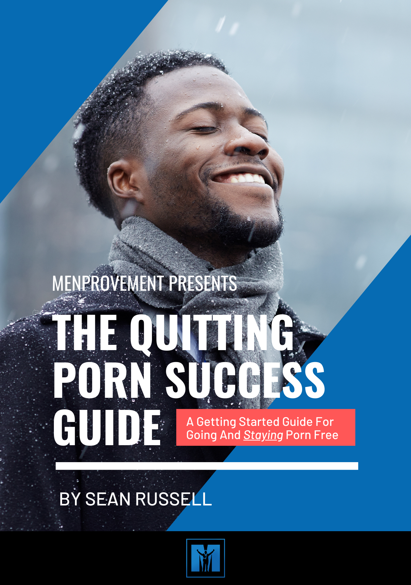 The Quitting Porn Success Guide